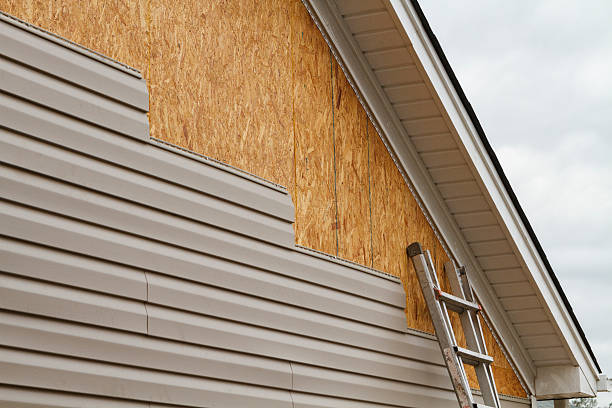 Professional Siding Inspection technician working in Saint Petersburg, FL